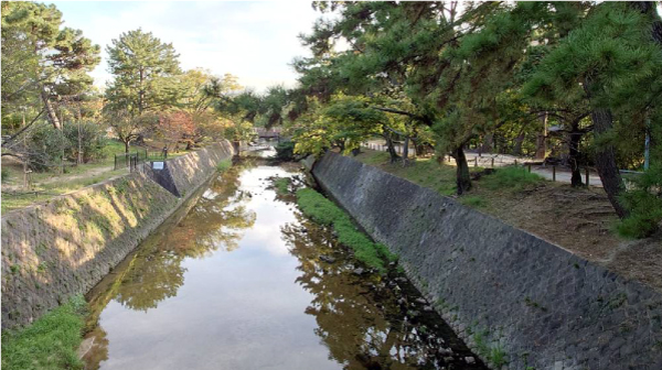 夙川河川敷緑地